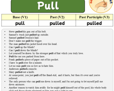 Sentences with Pull, Past and Past Participle Form Of Pull V1 V2 V3