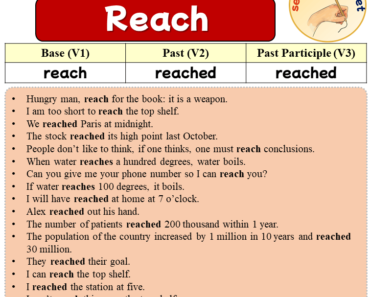 Sentences with Reach, Past and Past Participle Form Of Reach V1 V2 V3