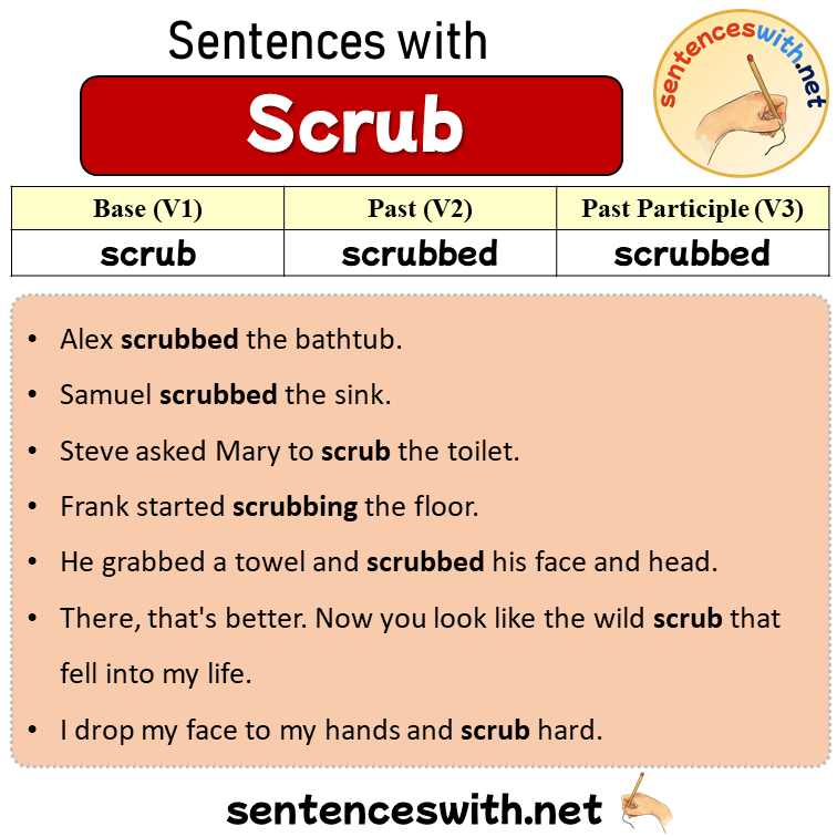 Sentences with Scrub, Past and Past Participle Form Of Scrub V1 V2 V3