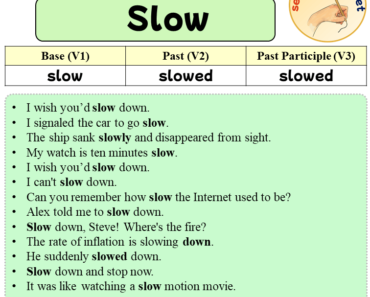 Sentences with Slow, Past and Past Participle Form Of Slow V1 V2 V3
