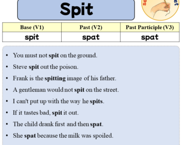 Sentences with Spit, Past and Past Participle Form Of Spit V1 V2 V3