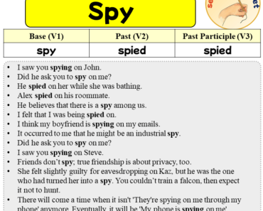 Sentences with Spy, Past and Past Participle Form Of Spy V1 V2 V3