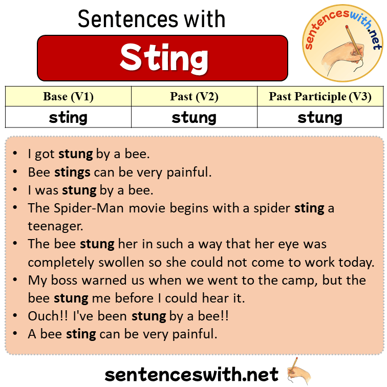 Sentences with Sting, Past and Past Participle Form Of Sting V1 V2 V3