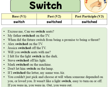 Sentences with Switch, Past and Past Participle Form Of Switch V1 V2 V3