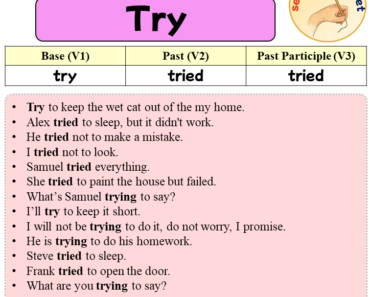 Sentences with Try, Past and Past Participle Form Of Try V1 V2 V3