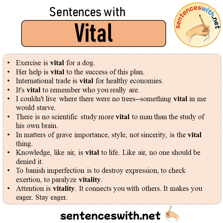 Sentences with Vital, 10 Sentences about Vital in English