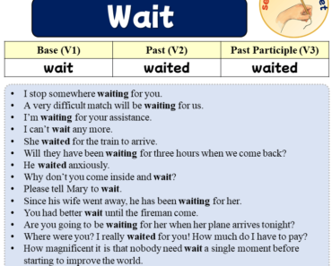 Sentences with Wait, Past and Past Participle Form Of Wait V1 V2 V3