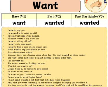 Sentences with Want, Past and Past Participle Form Of Want V1 V2 V3