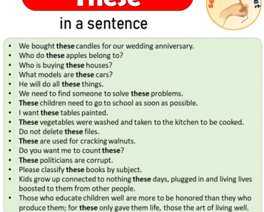 These in a Sentence, Sentences of These in English