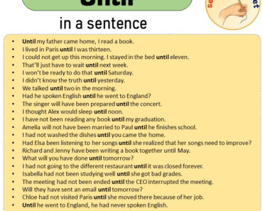 Until in a Sentence, Sentences of Until in English