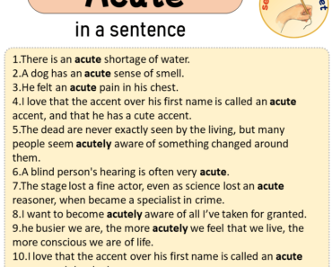 Acute in a Sentence, Sentences of Acute in English