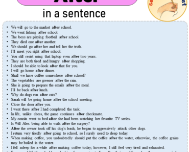 After in a Sentence, Sentences of After in English
