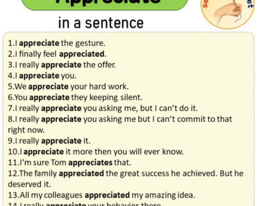 Appreciate in a Sentence, Sentences of Appreciate in English