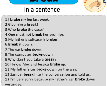 Break in a Sentence, Sentences of Break in English