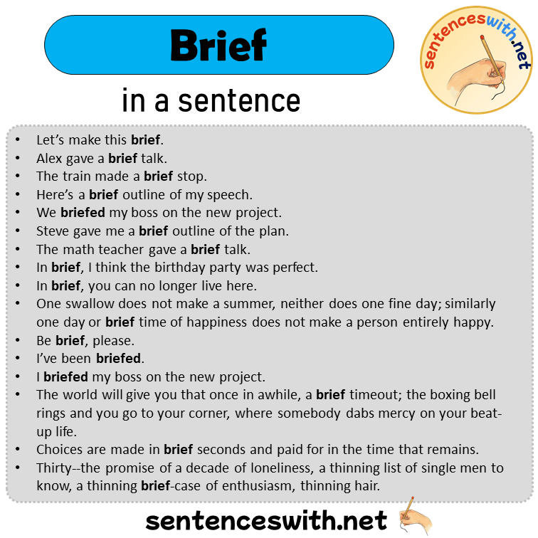 Brief in a Sentence, Sentences of Brief in English