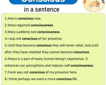 Conscious in a Sentence, Sentences of Conscious in English