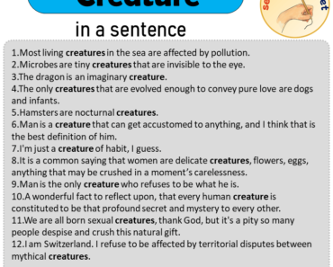 Creature in a Sentence, Sentences of Creature in English