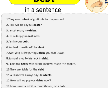 Debt in a Sentence, Sentences of Debt in English