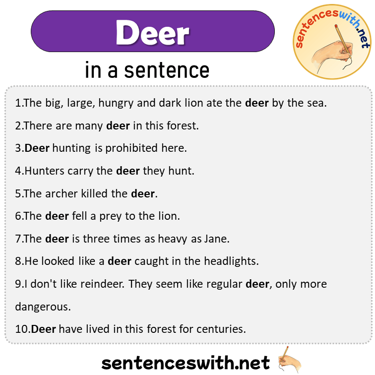Deer in a Sentence, Sentences of Deer in English