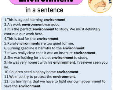 Environment in a Sentence, Sentences of Environment in English
