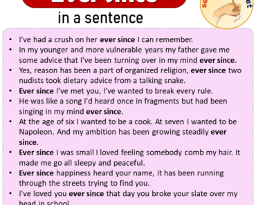 Ever since in a Sentence, Sentences of Ever since in English