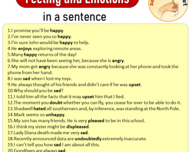 Feeling and Emotions in a Sentence, Sentences of Feeling and Emotions in English