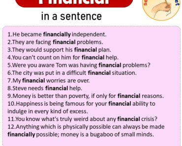 Financial in a Sentence, Sentences of Financial in English