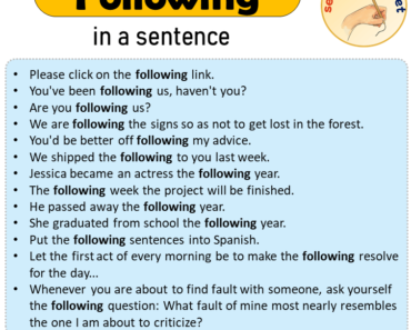 Following in a Sentence, Sentences of Following in English