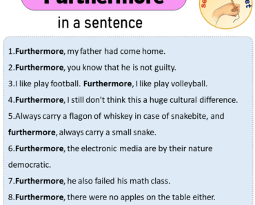 Furthermore in a Sentence, Sentences of Furthermore in English