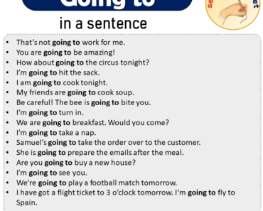 Going to in a Sentence, Sentences of Going to in English