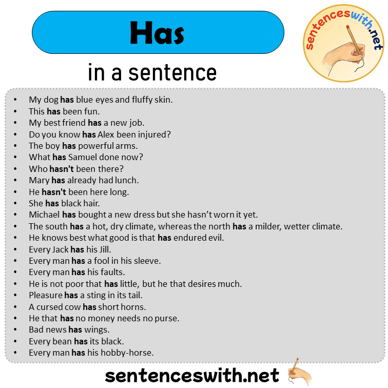 Has in a Sentence, Sentences of Has in English