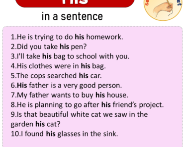 His in a Sentence, Sentences of His in English