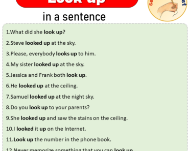 Look up in a Sentence, Sentences of Look up in English