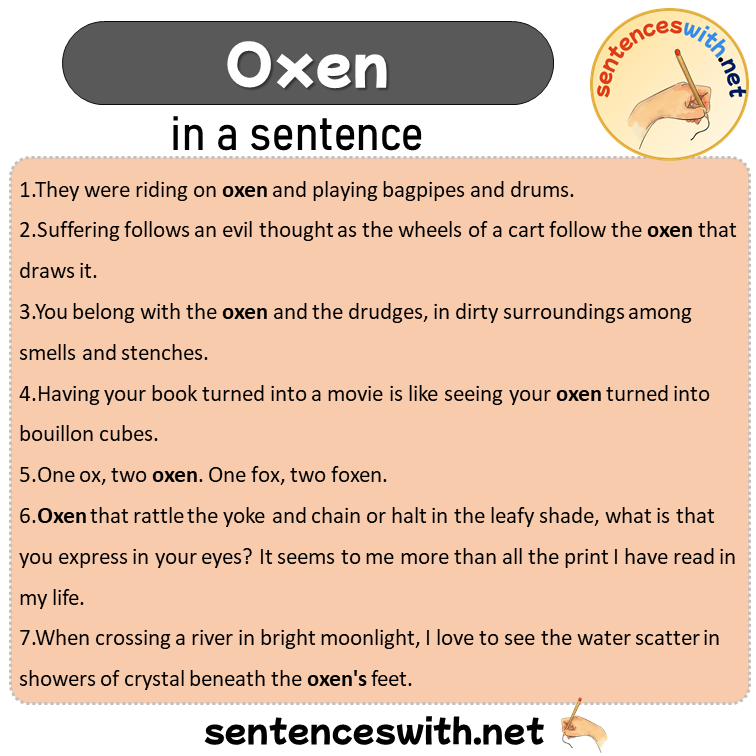 Oxen in a Sentence, Sentences of Oxen in English