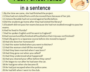 Past Perfect Tense in a Sentence, Sentences of Past Perfect Tense in English