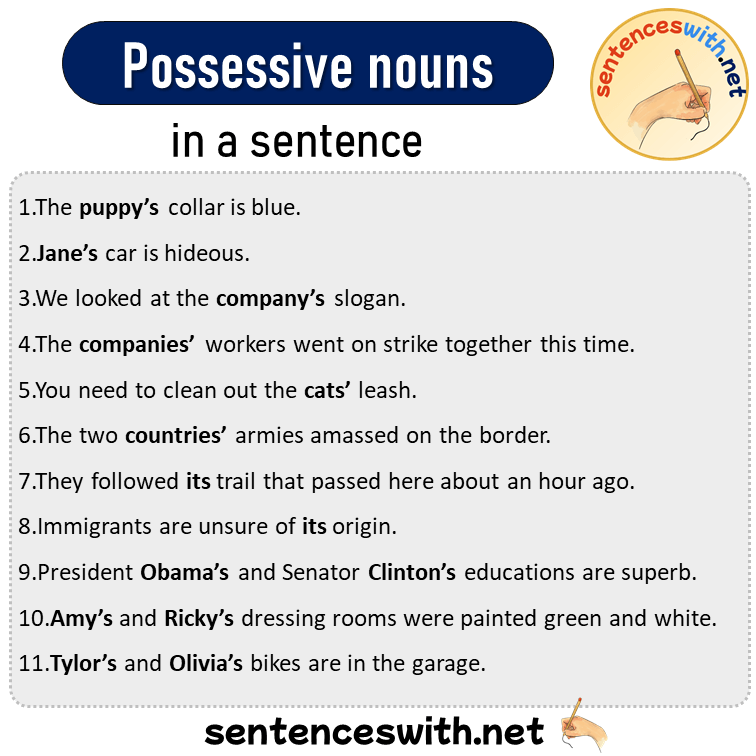 Possessive nouns in a Sentence, Sentences of Possessive nouns in English