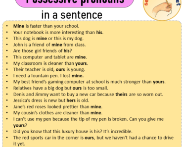 Possessive pronouns in a Sentence, Sentences of Possessive pronouns in English