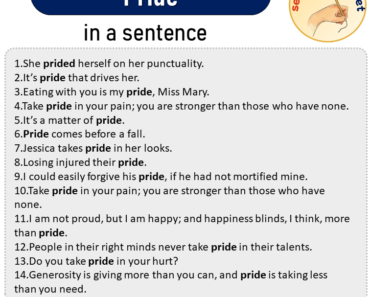 Pride in a Sentence, Sentences of Pride in English