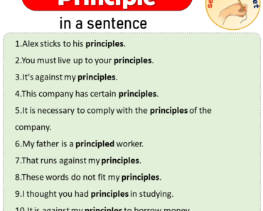 Principle in a Sentence, Sentences of Principle in English