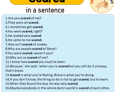 Scared in a Sentence, Sentences of Scared in English