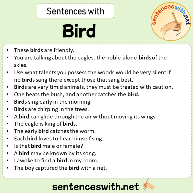Sentences with Bird, Sentences about Bird in English