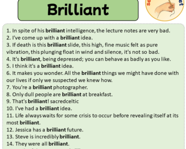 Sentences with Brilliant, Sentences about Brilliant in English