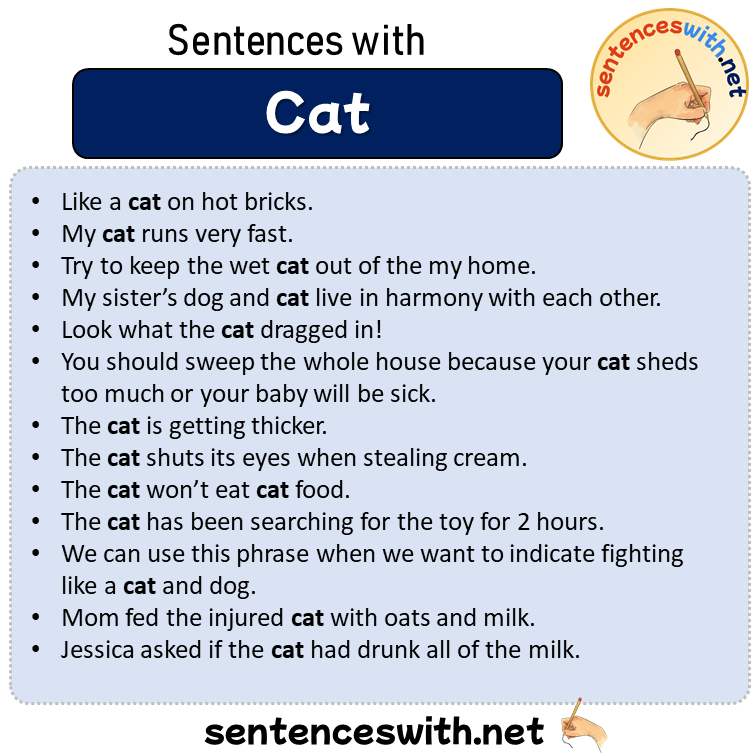 Sentences with Cat, Sentences about Cat in English