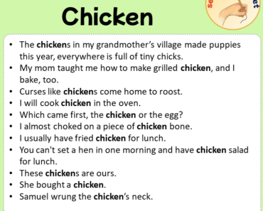 Sentences with Chicken, Sentences about Chicken in English