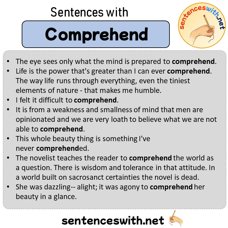 Sentences with Comprehend, Sentences about Comprehend in English