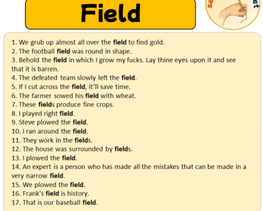 Sentences with Field, Sentences about Field in English