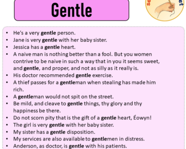 Sentences with Gentle, Sentences about Gentle in English