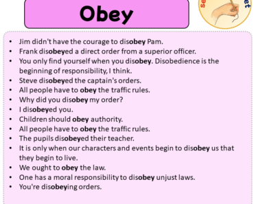 Sentences with Obey, Sentences about Obey in English
