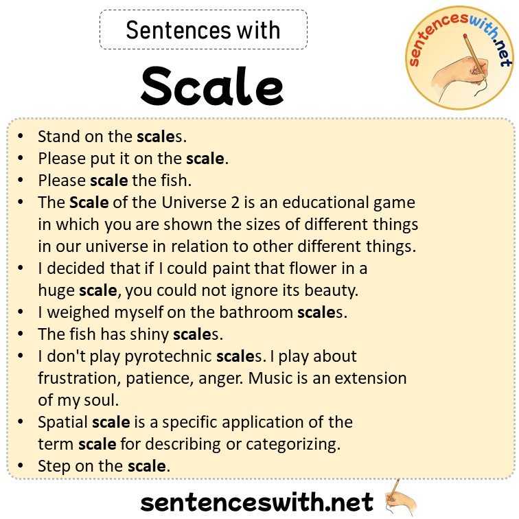 Sentences with Scale, Sentences about Scale in English