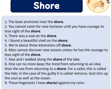 Sentences with Shore, Sentences about Shore in English